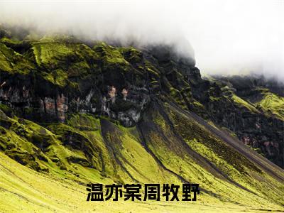 温亦棠周牧野精彩章节试读-温亦棠周牧野虐心小说免费阅读