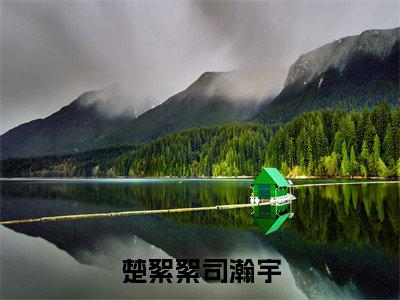 楚絮絮司瀚宇精彩章节免费阅读_楚絮絮司瀚宇抖音热推小说最新章节阅读