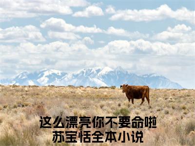 这么漂亮你不要命啦苏宝恬全文免费阅读无弹窗大结局_章节列表_笔趣阁