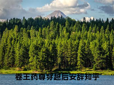 小说卷王药尊穿越后安辞全文免费阅读无弹窗大结局-卷王药尊穿越后安辞在线阅读