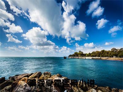 秦晚夏霍廷枭的小说免费阅读（秦晚夏霍廷枭的小说免费阅读）全文完整版免费阅读