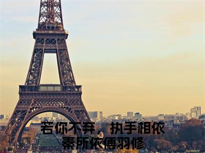 秦所依傅羽修（若你不弃，执手相依）全文免费阅读无弹窗大结局_若你不弃，执手相依完整版小说阅读（秦所依傅羽修）