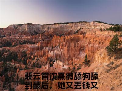 舔狗舔到最后，她又丢钱又丢命裴云霄沈熹微小说-舔狗舔到最后，她又丢钱又丢命小说全文免费阅读