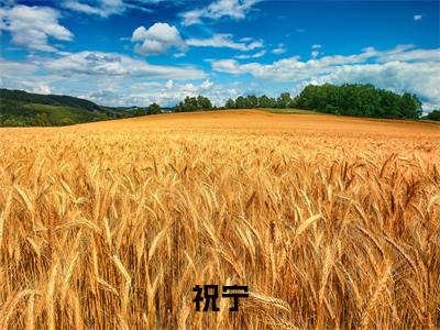 （我在废土世界扫垃圾）祝宁小说全文免费阅读无弹窗大结局_祝宁（我在废土世界扫垃圾）最新章节列表笔趣阁