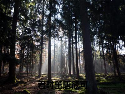 君时笙唐筱可小说全文免费阅读_君时笙唐筱可（君时笙唐筱可）最新章节列表在线阅读