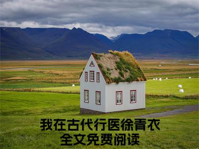 我在古代行医徐青衣无弹窗（我在古代行医徐青衣）全文免费阅读无弹窗大结局_(我在古代行医徐青衣)我在古代行医徐青衣最新章节列表_笔趣阁（我在古代行医徐青衣）