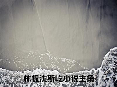 林栀沈斯屹（林栀沈斯屹小说）全文免费阅读无弹窗大结局_林栀沈斯屹全文免费阅读（林栀沈斯屹小说）最新章节列表_笔趣阁（林栀沈斯屹）