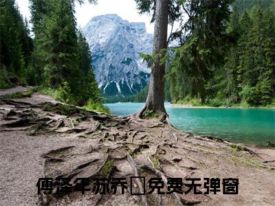 傅泽年苏乔珺小说（傅泽年苏乔珺）全文免费阅读无弹窗大结局_傅泽年苏乔珺小说最新章节列表_笔趣阁（傅泽年苏乔珺）