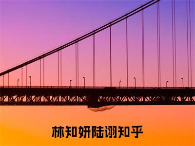 林知妍陆诩精彩小说（林知妍陆诩）阅读大结局 林知妍陆诩免费版小说更新阅读_笔趣阁