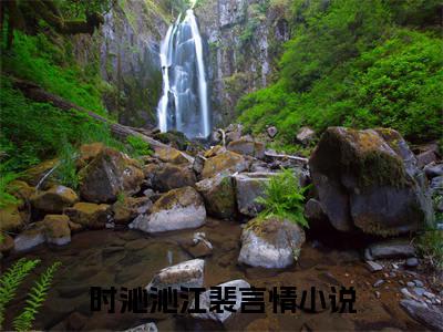 （时沁沁江裴）全文免费阅读无弹窗大结局_（时沁沁江裴阅读无弹窗）时沁沁江裴最新章节列表