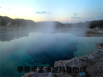 季斯年孟清越全文免费阅读大结局季斯年孟清越最新章节列表