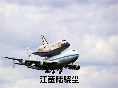 （江萤陆骁尘）是什么小说-江萤陆骁尘全文免费阅读无弹窗大结局（江萤陆骁尘）最新章节列表