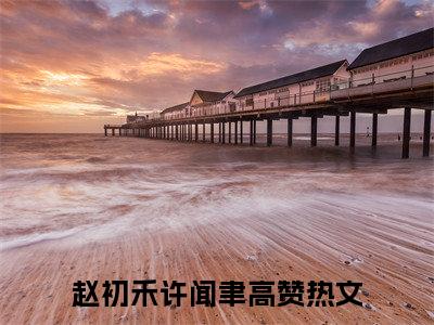 赵初禾许闻聿热门小说最新章节免费阅读-完结版全文赵初禾许闻聿小说在线阅读