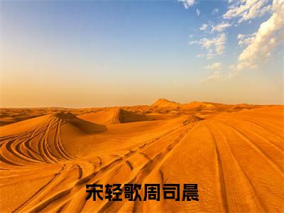 宋轻歌周司晨（宋轻歌周司晨）全文免费阅读无弹窗大结局_宋轻歌周司晨最新章节列表_笔趣阁无删减