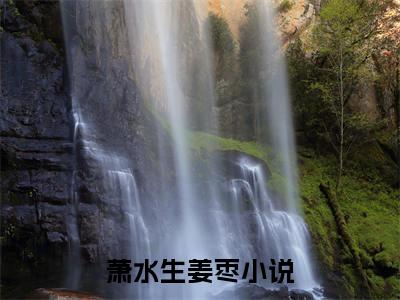 小说七零大院美娇媳全文阅读-萧水生姜枣小说七零大院美娇媳大结局