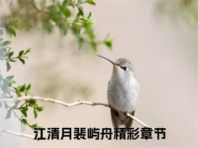 江清月裴屿舟（江清月裴屿舟）小说免费阅读在线阅读_江清月裴屿舟全文免费阅读_笔趣阁