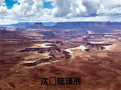 沈玥陆瑾辰小说（沈玥陆瑾辰）全文免费阅读无弹窗大结局_沈玥陆瑾辰小说最新章节列表