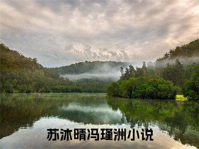 小说苏沐晴冯瑾洲（苏沐晴冯瑾洲）全文免费阅读-最火热门小说苏沐晴冯瑾洲最新章节更新
