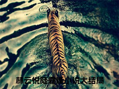 林云悦陆霖烽小说全文（林云悦陆霖烽）精选免费小说_林云悦陆霖烽小说全文最新章节列表