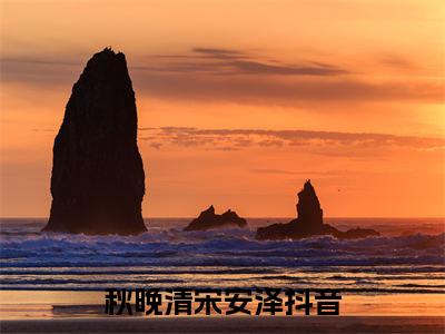 秋晚清宋安泽小说（秋晚清宋安泽）全文免费阅读无弹窗大结局_（秋晚清宋安泽）秋晚清宋安泽小说最新章节列表