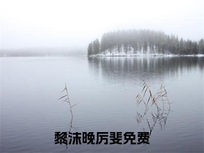 黎沫晚厉斐阅读无弹窗大结局_（黎沫晚厉斐阅读无弹窗）最新章节列表_笔趣阁（黎沫晚厉斐）