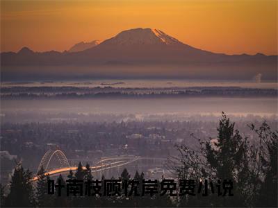 热门榜单精彩小说叶南枝顾忱岸，叶南枝顾忱岸推荐小说免费章节阅读
