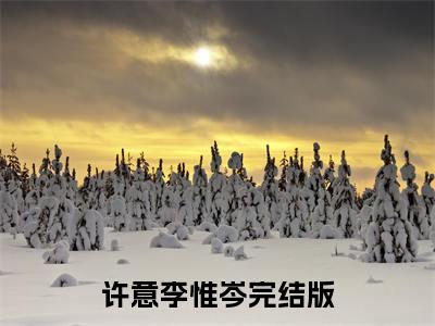 许意李惟岑是啥小说 许意李惟岑免费阅读无广告