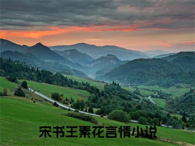 宋书王素花无广告小说免费阅读，宋书王素花农家小女干饭忙，全家粮满仓完结小说在线阅读
