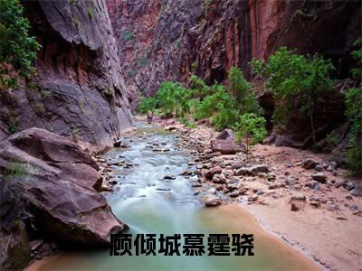 顾倾城慕霆骁在哪免费看 顾倾城慕霆骁结局是什么（顾倾城慕霆骁）小说无弹窗免费阅读