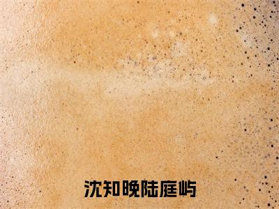 沈知晚陆庭屿小说全文（沈知晚陆庭屿）全文免费阅读无弹窗大结局_沈知晚陆庭屿小说全文最新章节列表_笔趣阁(沈知晚陆庭屿小说全文）
