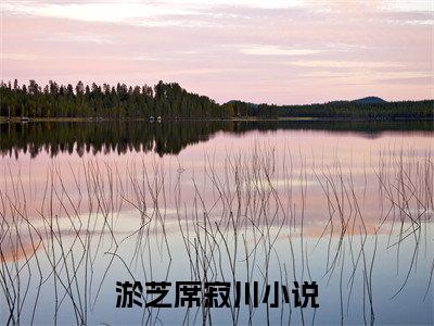 淤芝席寂川在线阅读（淤芝席寂川）全文无弹窗大结局_淤芝席寂川全文在线阅读无弹窗