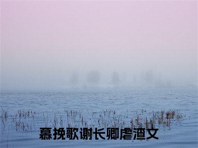 慕挽歌谢长卿（慕挽歌谢长卿小说）全文免费阅读无弹窗大结局_慕挽歌谢长卿全文免费阅读_笔趣阁