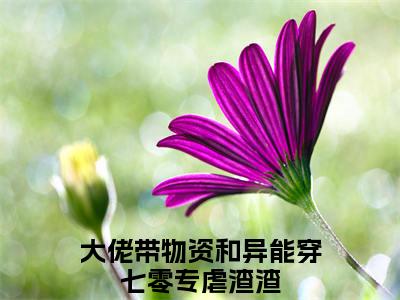 唐沐薇楚皓轩免费阅读全文免费阅读无弹窗大结局_（大佬带物资和异能穿七零专虐渣渣小说免费阅读）唐沐薇楚皓轩最新章节阅读