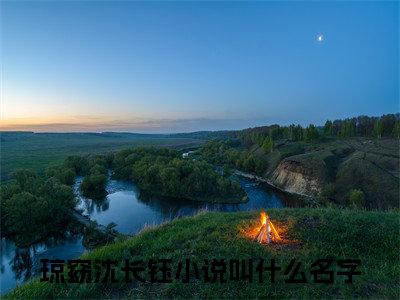琼窈沈长钰（琼窈沈长钰）全文免费阅读无弹窗大结局_琼窈沈长钰小说最新章节列表_笔趣阁