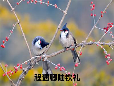 程遇卿陆钦礼（程遇卿陆钦礼）全文免费阅读无弹窗大结局_（程遇卿陆钦礼无弹窗）_笔趣阁