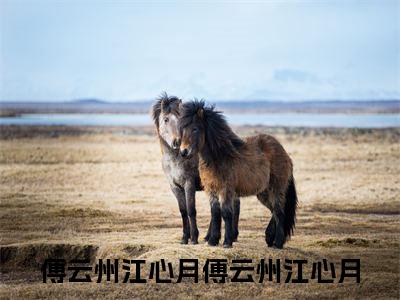 傅云州江心月（傅云州江心月）全文免费阅读无弹窗大结局_（傅云州江心月）最新章节