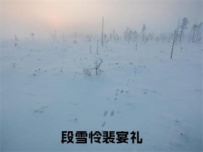 段雪怜裴宴礼的小说全文免费阅读无弹窗，段雪怜裴宴礼的小说在线免费阅读大结局（段雪怜裴宴礼）