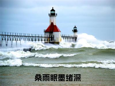 桑雨眠墨绪深（桑雨眠墨绪深）全文免费阅读无弹窗大结局_桑雨眠墨绪深最新章节列表_笔趣阁（免费+番外）