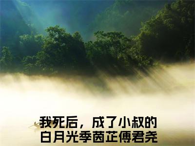 季茵芷傅君尧（我死后，成了小叔的白月光）全文免费阅读无弹窗大结局_季茵芷傅君尧最新章节列表笔趣阁