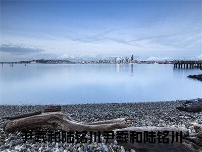 尹羲和陆铭川（尹羲和陆铭川）小说全文免费阅读无弹窗_（尹羲和陆铭川）尹羲和陆铭川小说全文免费阅读最新章节列表笔趣阁