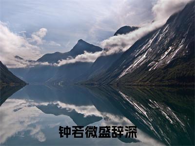 钟若微盛辞深（钟若微盛辞深）全文免费阅读无弹窗大结局_钟若微盛辞深最新章节列表-笔趣阁钟若微盛辞深