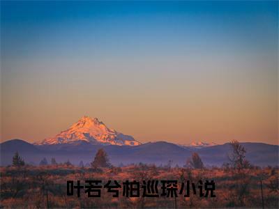 叶若兮柏巡琛免费正版小说完整版阅读-叶若兮柏巡琛最新章节在线阅读