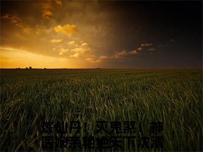 炼仙丹！灭鬼煞！神医娘亲艳绝天下沈清幽全文免费阅读 炼仙丹！灭鬼煞！神医娘亲艳绝天下沈清幽章节免费阅读