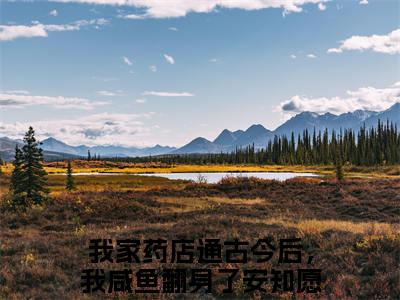 我家药店通古今后，我咸鱼翻身了安知愿全文免费阅读无弹窗大结局_我家药店通古今后，我咸鱼翻身了安知愿(我家药店通古今后，我咸鱼翻身了安知愿)最新章节列表_笔趣阁