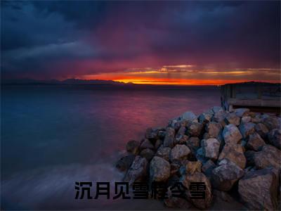 沉月见雪程令雪（沉月见雪程令雪）小说全文免费阅读无弹窗_（沉月见雪程令雪）小说全文免费阅读_最新章节列表_笔趣阁