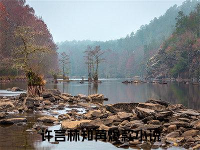 许言林知苒小说（许言林知苒全文完整版免费阅读）_许言林知苒小说免费最新章节列表_笔趣阁