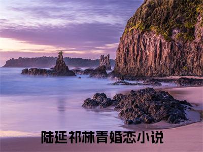 陆延祁林青小说全文在线赏析 陆延祁林青小说免费阅读全文大结局