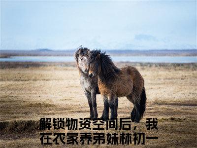 解锁物资空间后，我在农家养弟妹林初一抖音热推新书小说全文阅读 （解锁物资空间后，我在农家养弟妹林初一）全文免费阅读大结局
