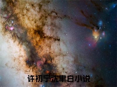 主角为许初宁沈聿白的小说（许初宁沈聿白）无弹窗大结局-许初宁沈聿白最新小说全文阅读最新章节列表_笔趣阁