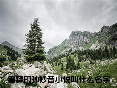 恶果（霍释印孙妙音）全文免费阅读无弹窗大结局_霍释印孙妙音小说免费最新章节列表_笔趣阁